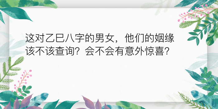 这对乙巳八字的男女，他们的姻缘该不该查询？会不会有意外惊喜？