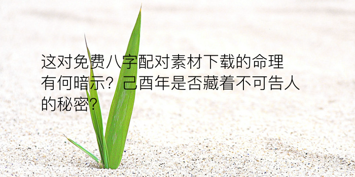 属虎属相婚配游戏截图