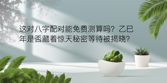 算命生辰八字查询游戏截图