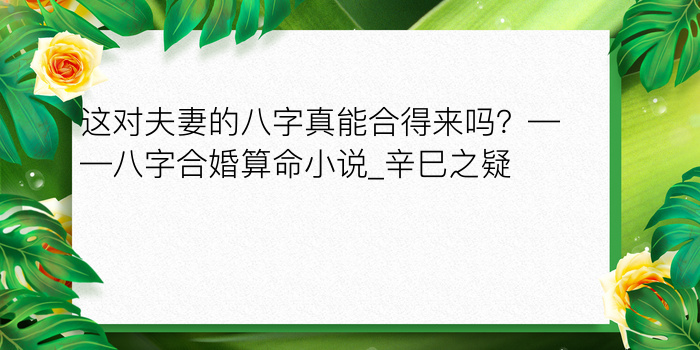 这对夫妻的八字真能合得来吗？——八字合婚算命小说_辛巳之疑