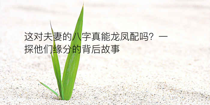 这对夫妻的八字真能龙凤配吗？一探他们缘分的背后故事