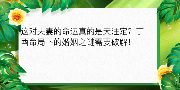 这对夫妻的命运真的是天注定？丁酉命局下的婚姻之谜需要破解！