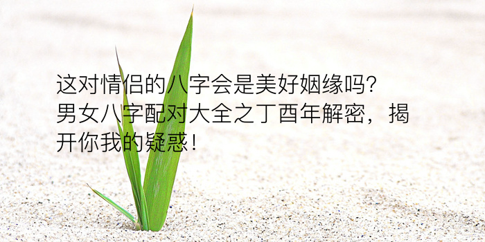 流年八字运程测算游戏截图