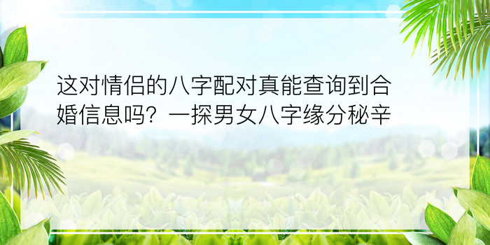 这对情侣的八字配对真能查询到合婚信息吗？一探男女八字缘分秘辛