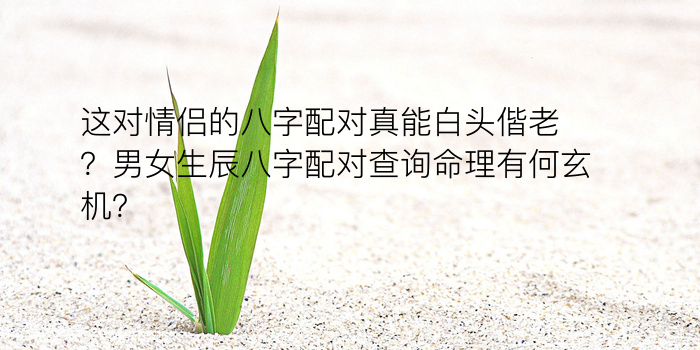 八字2018运程游戏截图