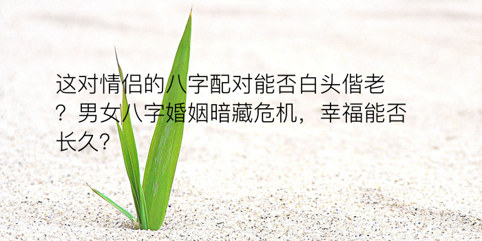 八字定运程游戏截图