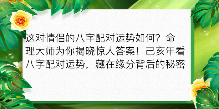 袁天罡八字称骨算命游戏截图