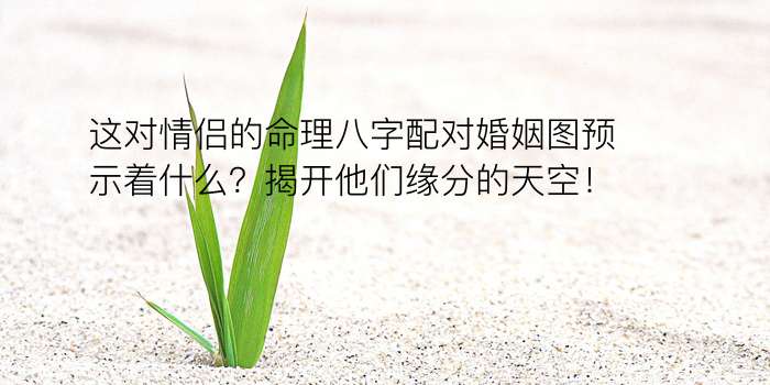 八字算命术游戏截图