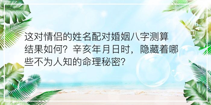 这对情侣的姓名配对婚姻八字测算结果如何？辛亥年月日时，隐藏着哪些不为人知的命理秘密？