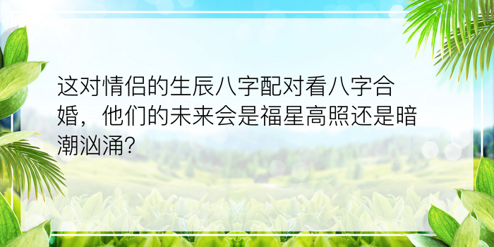 这对情侣的生辰八字配对看八字合婚，他们的未来会是福星高照还是暗潮汹涌？