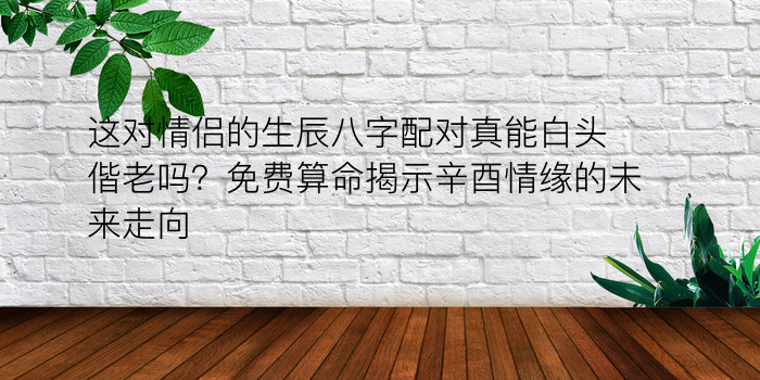 这对情侣的生辰八字配对真能白头偕老吗？免费算命揭示辛酉情缘的未来走向