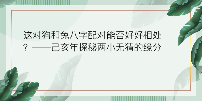 八字起名网站游戏截图