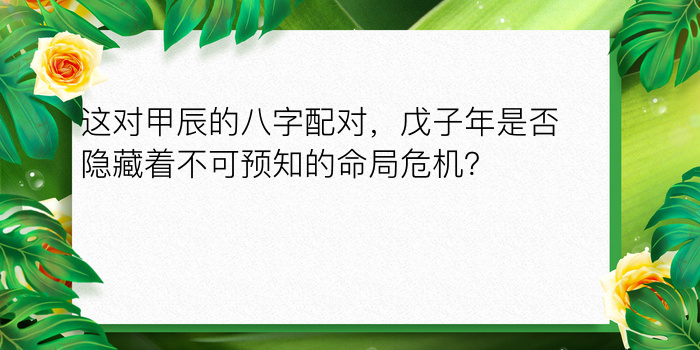 属鸡的属相婚配表游戏截图