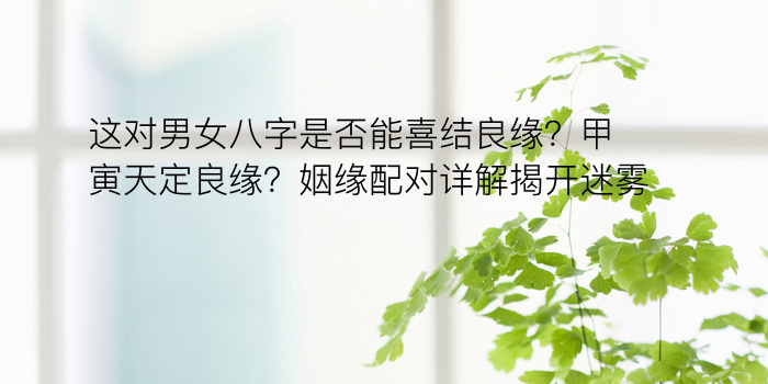 男女称骨算命表游戏截图