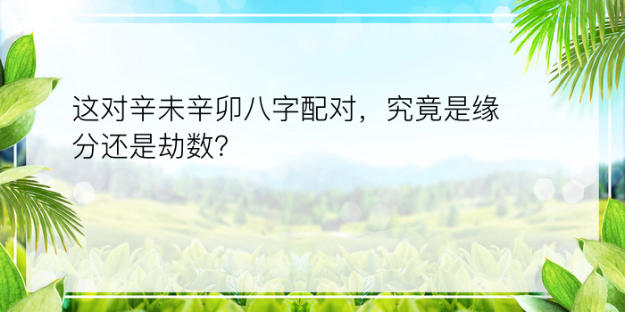 这对辛未辛卯八字配对，究竟是缘分还是劫数？