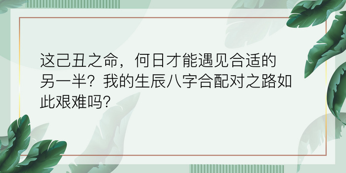 袁天罡八字称骨算命游戏截图