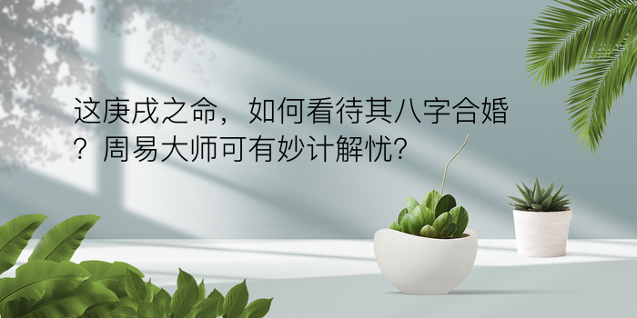 虎的配对属相婚配表游戏截图