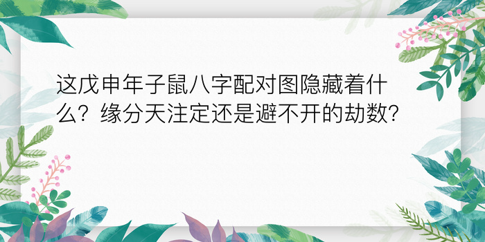 八字婚姻运程游戏截图