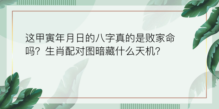 八字算命教学游戏截图