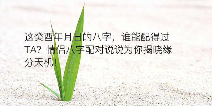 生辰八字在线起名游戏截图