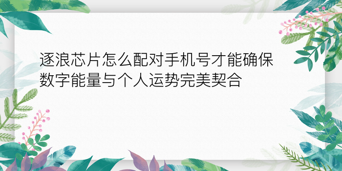 生肖配对鸡鼠游戏截图