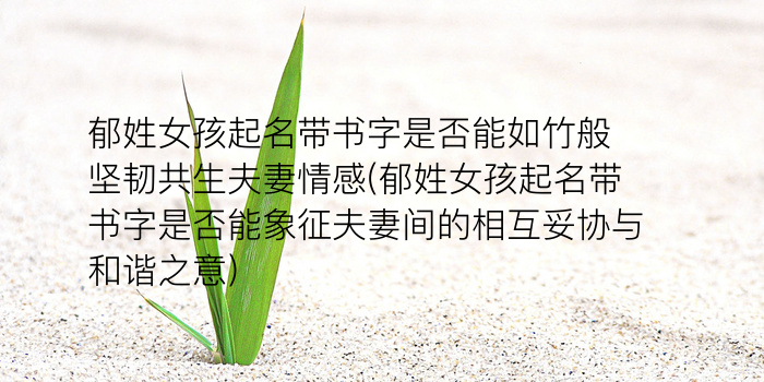 董宝宝起名游戏截图