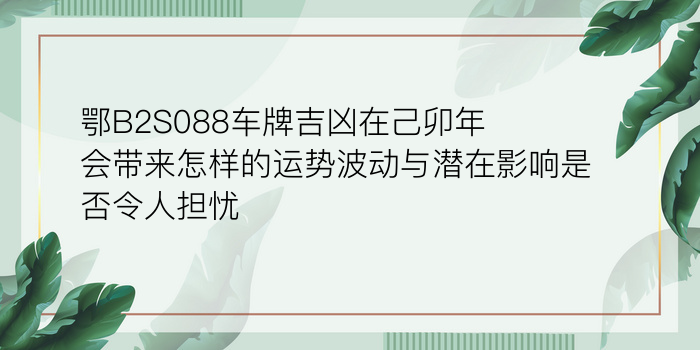 车牌号吉凶查询哪个准游戏截图