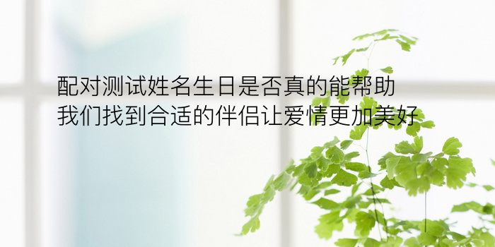 星座配对游戏推荐手机号游戏截图