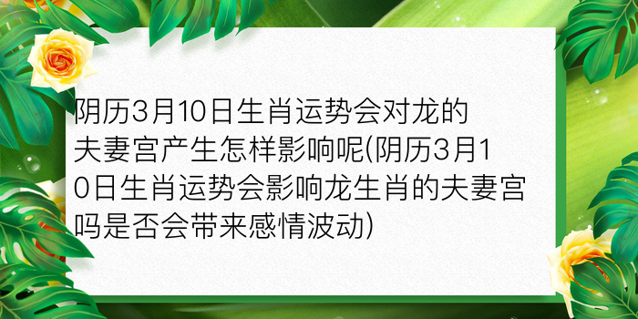 属龙的本命佛是游戏截图