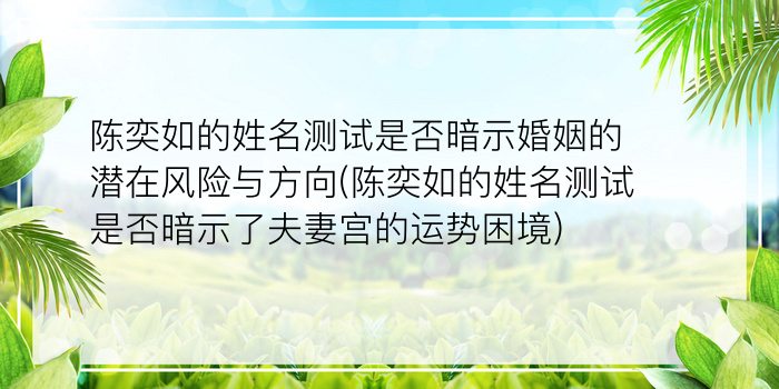 大师免费算命游戏截图