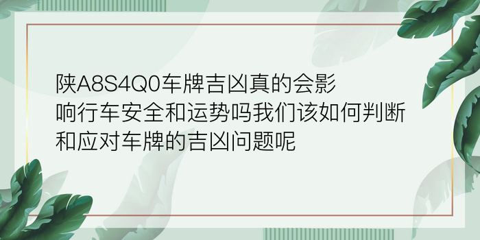 陕A8S4Q0车牌吉凶真的会影响行车安全和运势吗我们该如何判断和应对车牌的吉凶问题呢