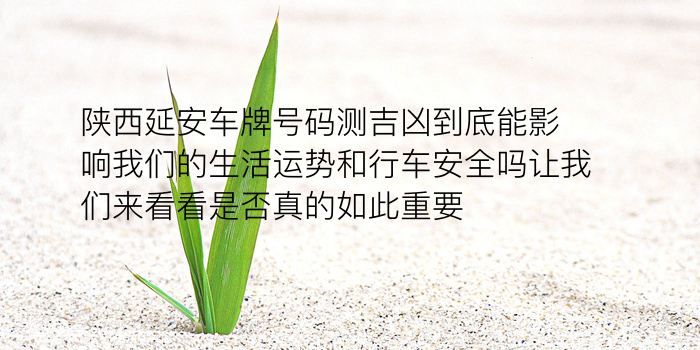 特斯拉能配对几个手机号游戏截图