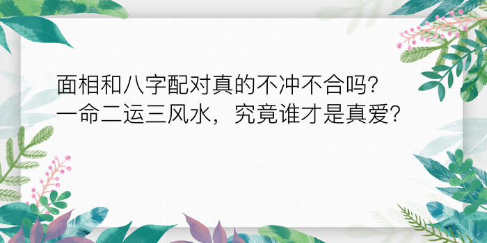 八字运程算命游戏截图