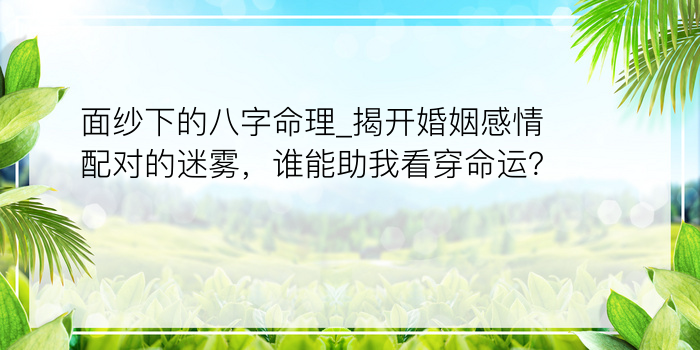 属鼠男最佳婚配属相游戏截图