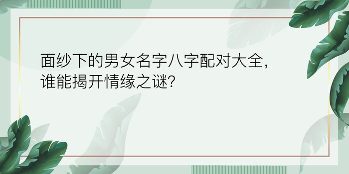 面纱下的男女名字八字配对大全，谁能揭开情缘之谜？