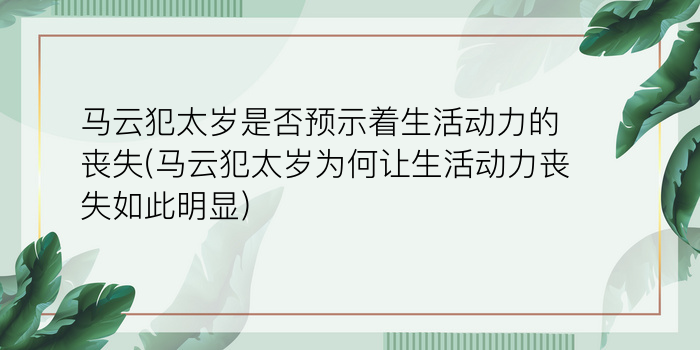 马云犯太岁是否预示着生活动力的丧失(马云犯太岁为何让生活动力丧失如此明显)