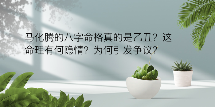 在线生辰八字算命游戏截图