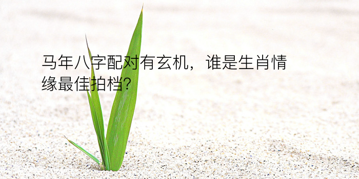 酉的八字运程游戏截图