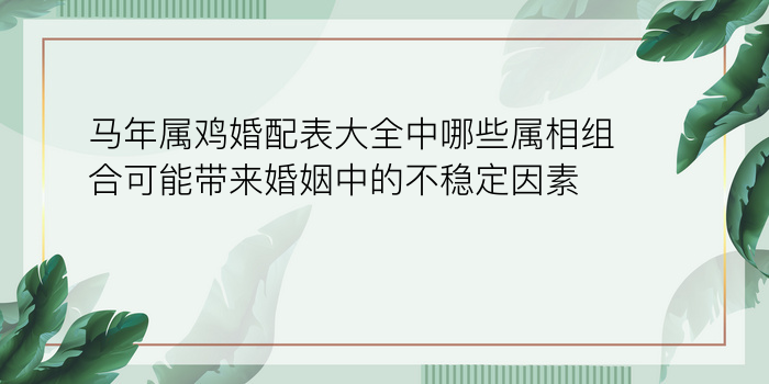 马年属鸡婚配表大全中哪些属相组合可能带来婚姻中的不稳定因素