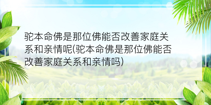 8月份运势生肖运势游戏截图