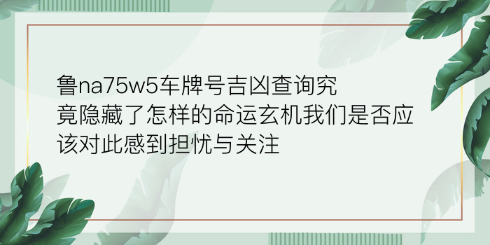 水瓶座的最佳星座配对游戏截图