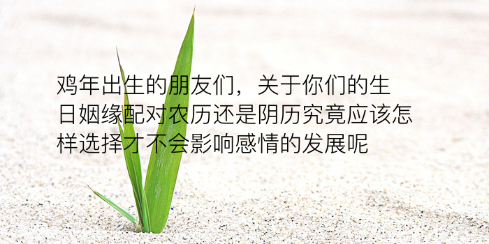 测车牌吉凶游戏截图