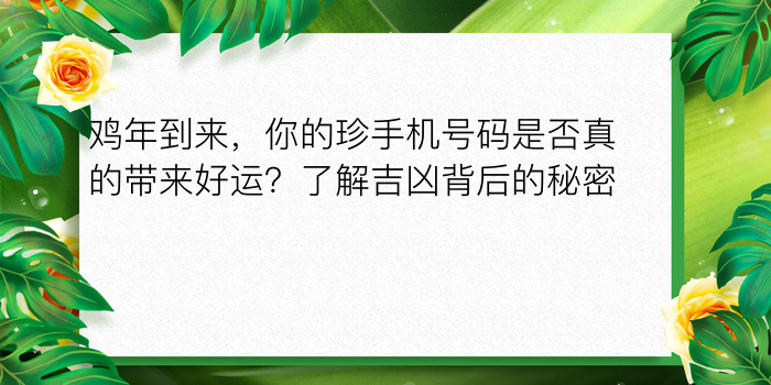 属马婚配最佳属相游戏截图