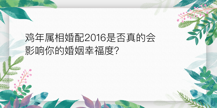 周易免费姓名配对游戏截图