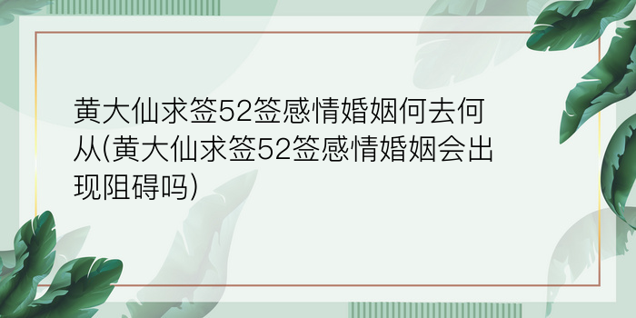 二零二算运网