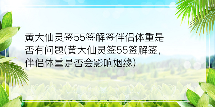 吕祖灵签29游戏截图