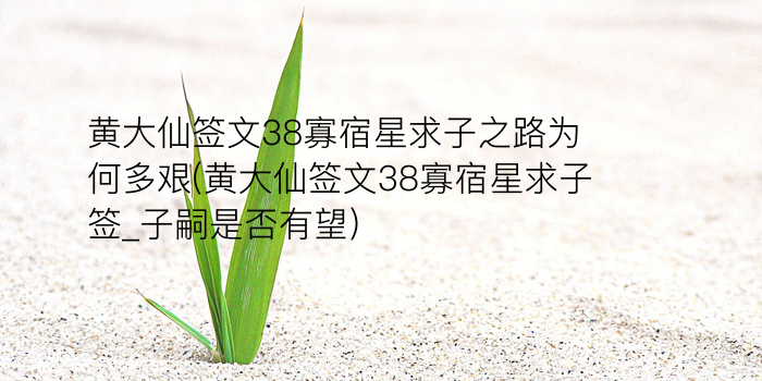 黄大仙九十四签解签游戏截图