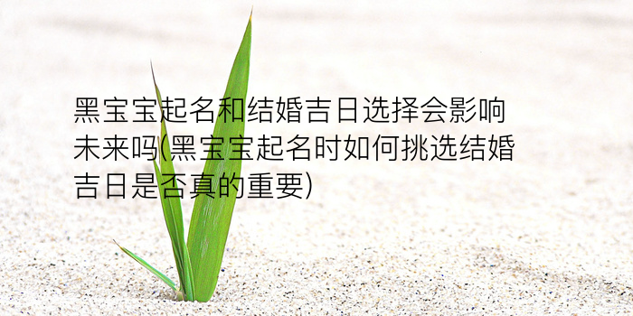 同名同姓的朋友文案游戏截图