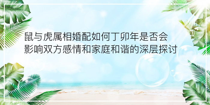 鼠与虎属相婚配如何丁卯年是否会影响双方感情和家庭和谐的深层探讨