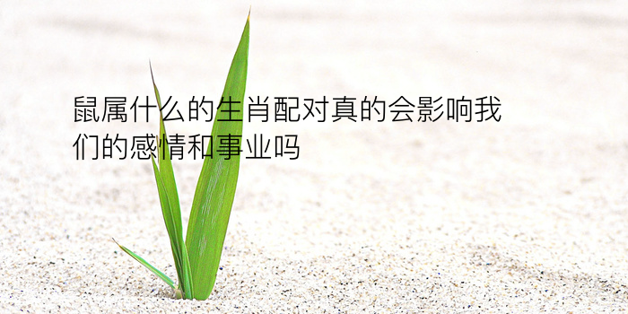 姓名生日配对测姻缘游戏截图